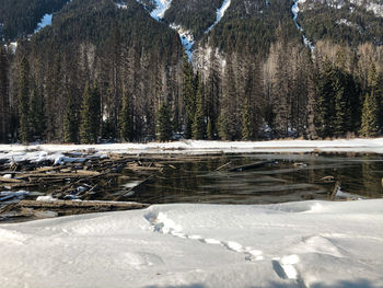 Scenic view of frozen lake by trees during winter