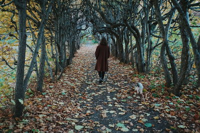 Rear view of woman walking in forest during autumn