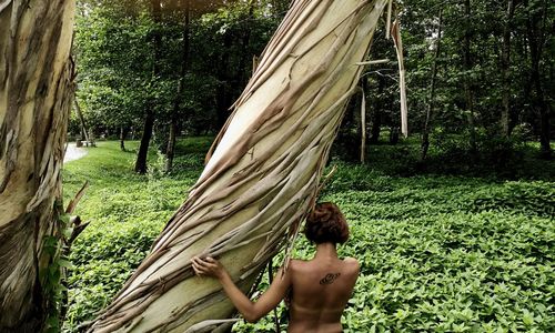 Rear view of shirtless boy in forest