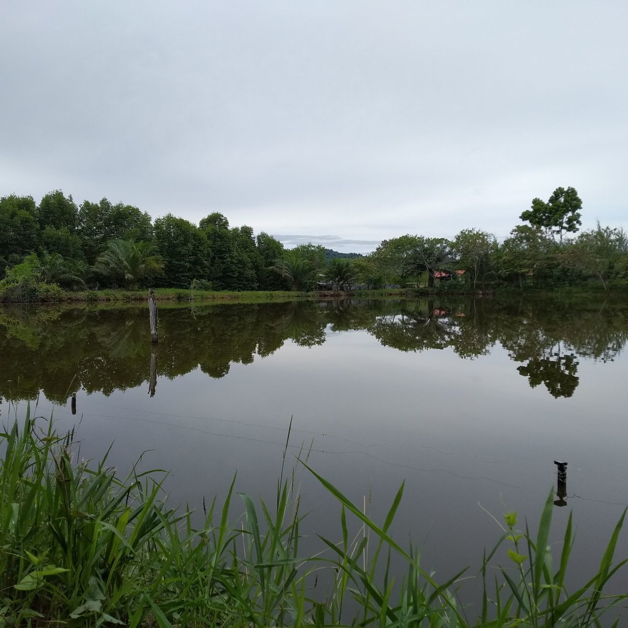 SCENIC VIEW OF LAKE WITH TREES REFLECTION AGAINST SKY