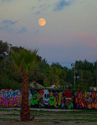 Moon in sky