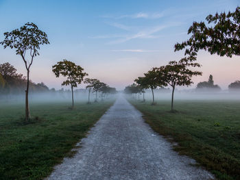 Empty road amidst trees on field against sky