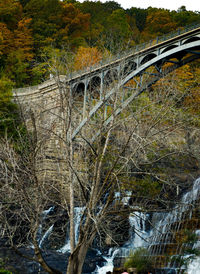 Arch bridge over river in forest