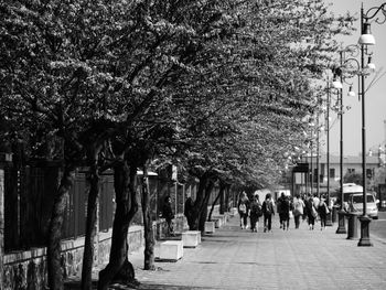 People walking on street in city