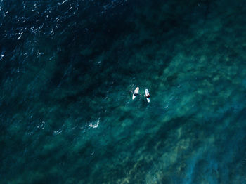 High angle view of people with surfboards at sea