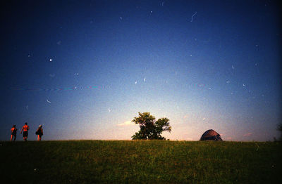 Scenic view of grassy field against sky