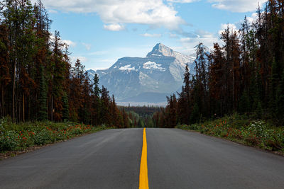 Road amidst trees and snowcapped mountains against sky