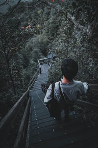 Rear view of man on steps in forest