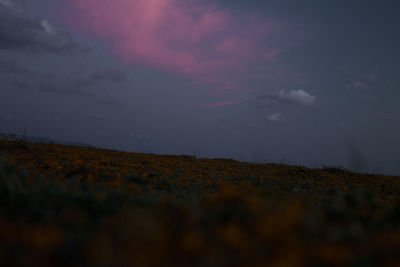 Low angle view of field against sky at sunset