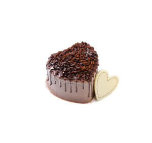 Close-up of chocolate cake against white background