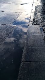 Reflection of trees in puddle