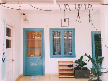 Potted plants on window