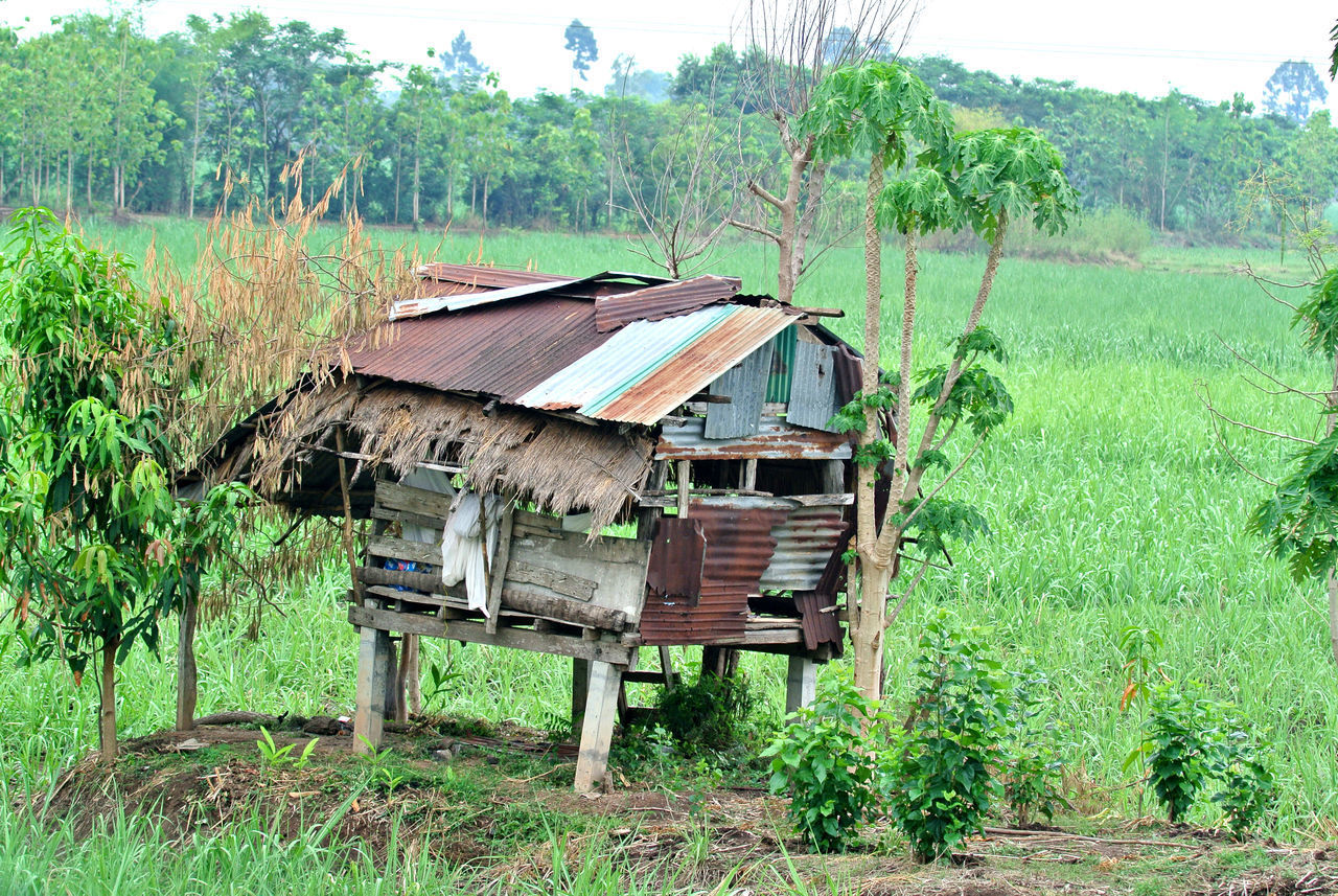 ABANDONED HOUSE ON FIELD AGAINST TREES