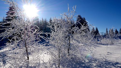 Snow covered field against clear sky at dusk