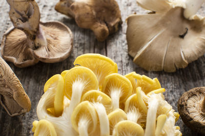 High angle view of mushrooms on table