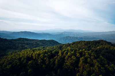 High angle view of trees on landscape against sky