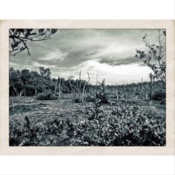 Scenic view of field against cloudy sky