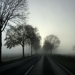 Road by trees against sky during foggy weather