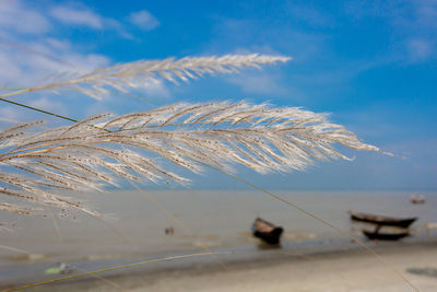 Scenic view of sea against blue sky