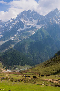 Scenic view of field and mountains against sky