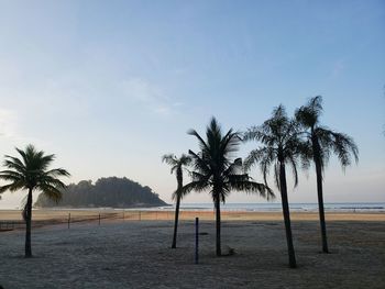 Palm trees on beach against sky