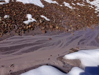 High angle view of bird on sand at beach during winter