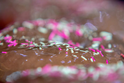Close-up of pink cake