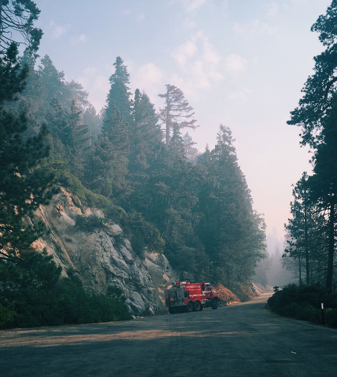 tree, transportation, sky, road, the way forward, cloud - sky, land vehicle, street, mode of transport, nature, car, tranquility, mountain, day, outdoors, tranquil scene, country road, beauty in nature, growth, scenics