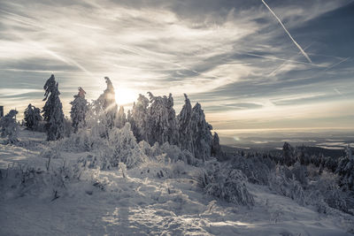 Scenic view of snow covered landscape