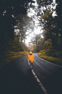 Rear view of man walking on road amidst trees