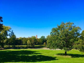 Trees on field against clear blue sky