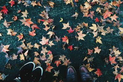 Low section of people standing by autumn leaves on field