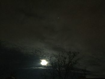 Low angle view of silhouette trees against sky at night