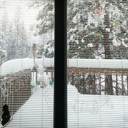 Woman standing in city