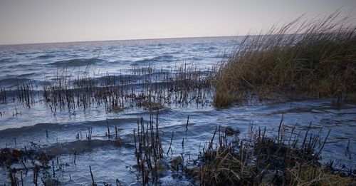 Scenic view of calm sea