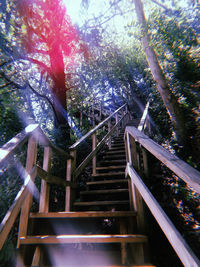 Low angle view of staircase against trees