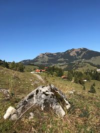 Scenic view of landscape against clear blue sky