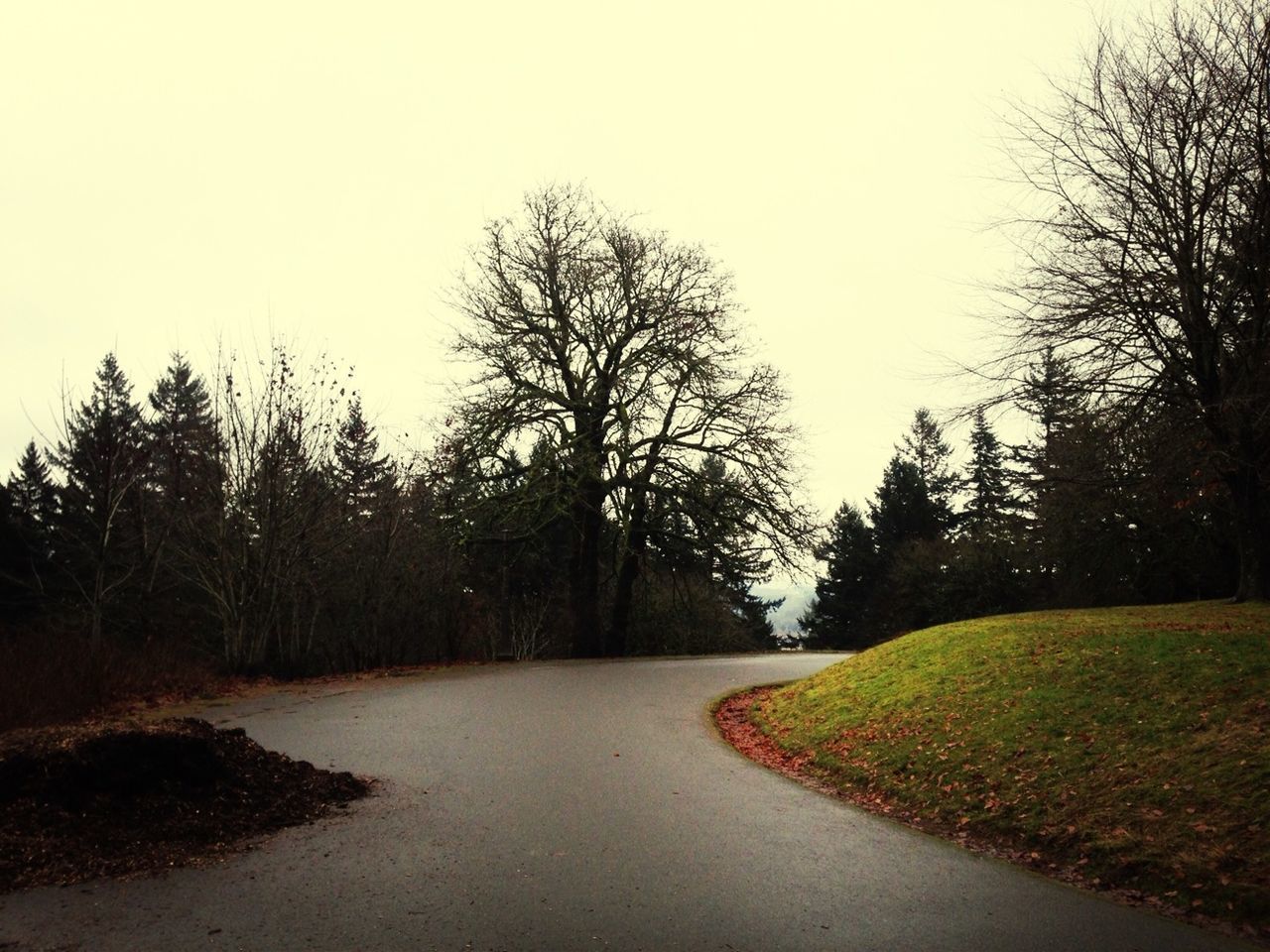 Summit of Mt. Tabor