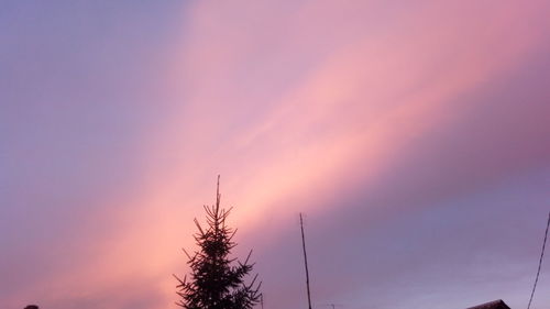 Low angle view of silhouette tree against sky during sunset