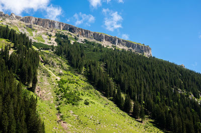 Panoramic view of landscape against sky