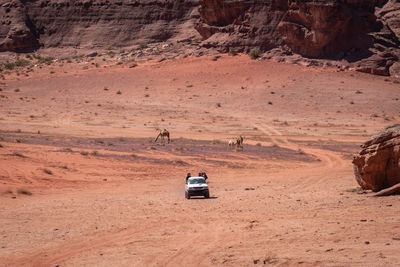 Car on rock formation in desert