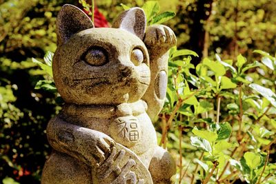 Close-up of statue against plants