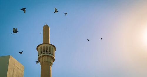 Low angle view of seagulls flying in sky