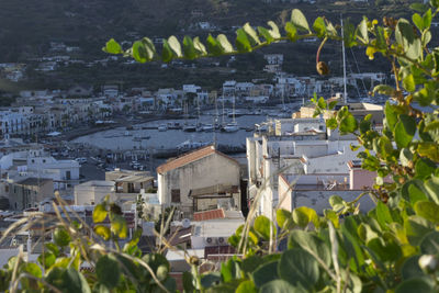 Buildings in city