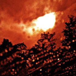 Low angle view of silhouette trees against dramatic sky