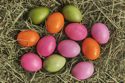 Colored chicken eggs painted with natural food dyes on dry grass. top view. easter holiday concept