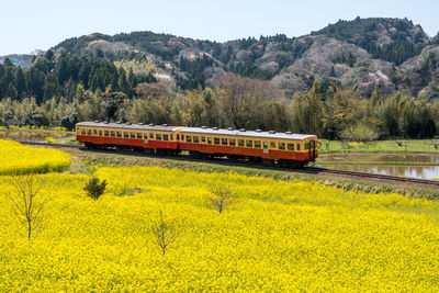 Yellow train on field against sky