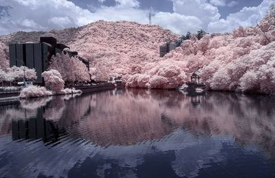 Reflection of trees in lake against sky