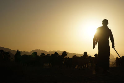 Silhouette of a shepherd with flock of sheep