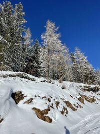 winter